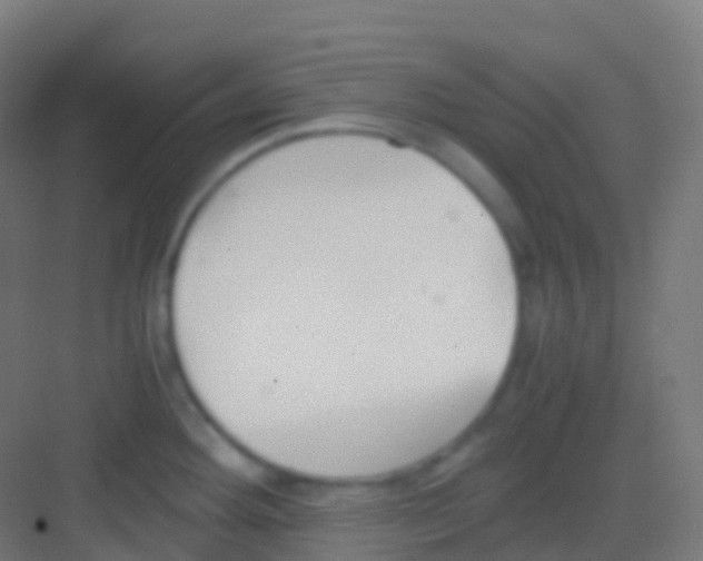 X0000081311292200702082100