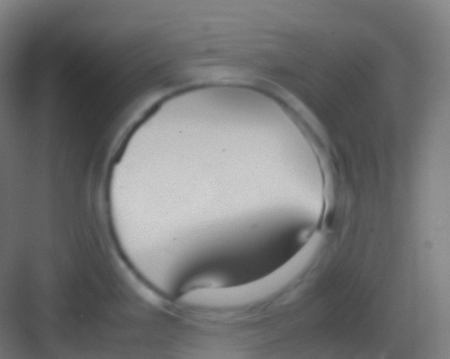 X0000081311293200702082100