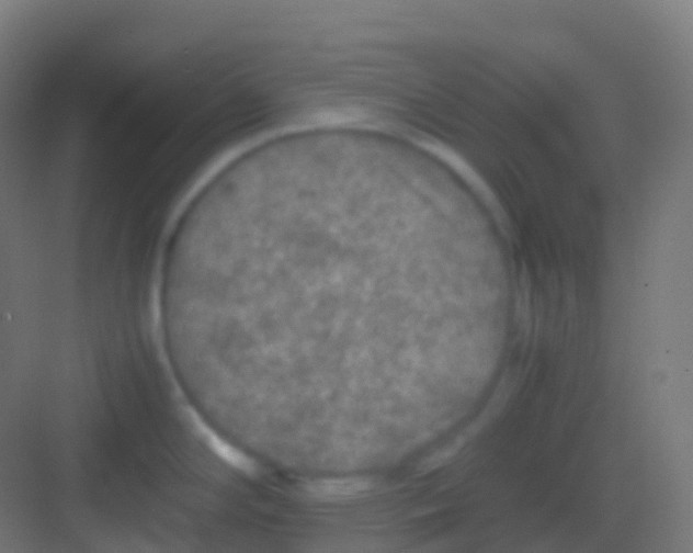 X0000081311294200702082100