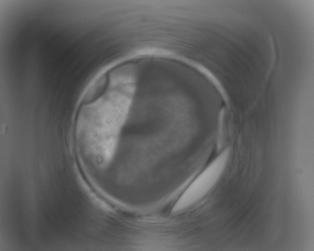 X0000081311295200702082100