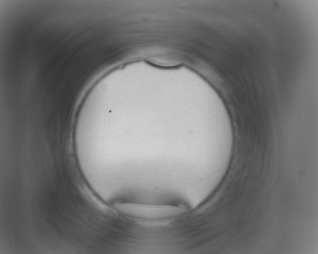 X0000081311296200702082100