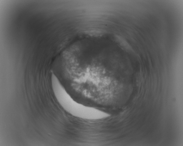 X0000081311298200702082100