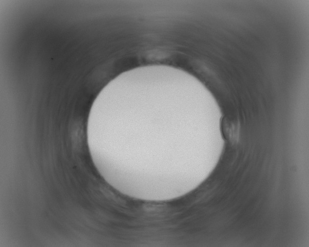 X0000081311299200702082100