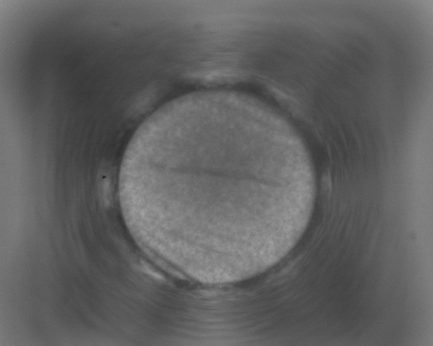 X0000081311300200702082100