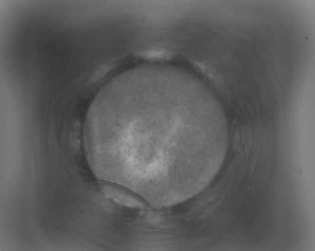 X0000081311301200702082100