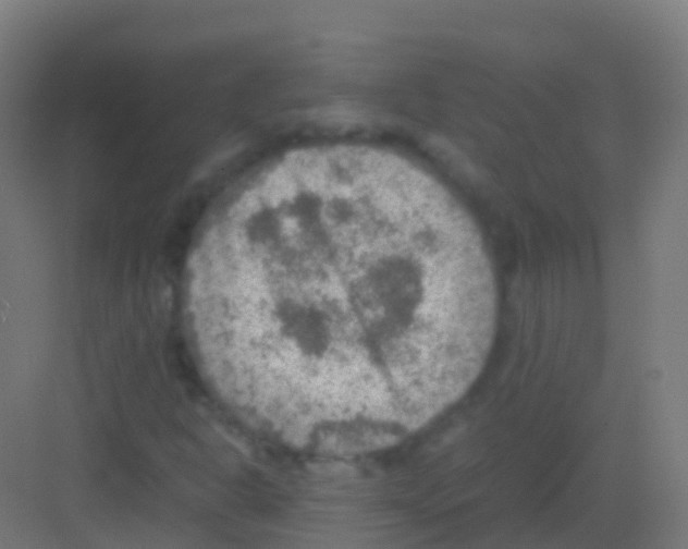 X0000081311302200702082100