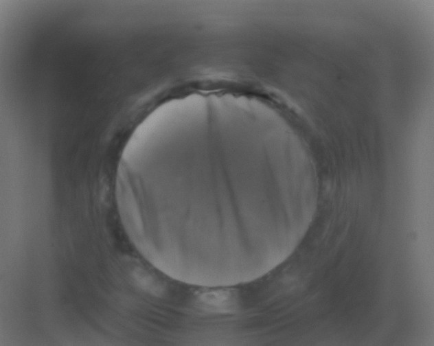 X0000081311303200702082100