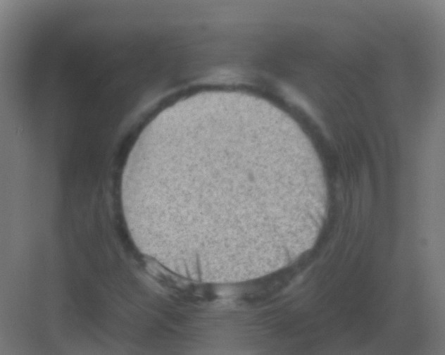 X0000081311304200702082100