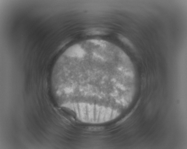 X0000081311305200702082100