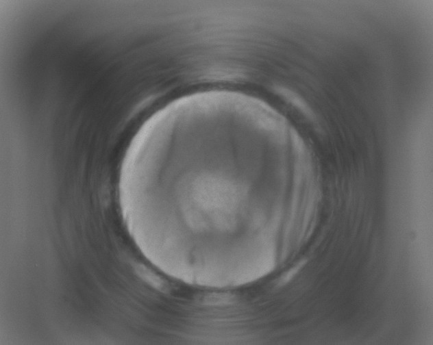 X0000081311306200702082100