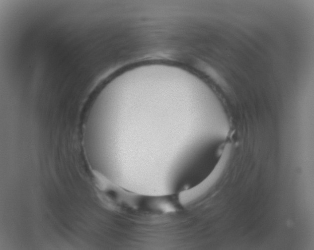 X0000081311308200702082100