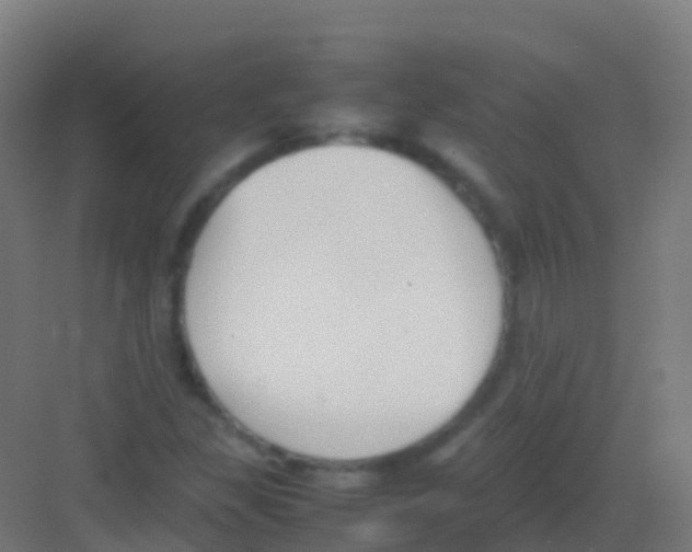 X0000081311309200702082100