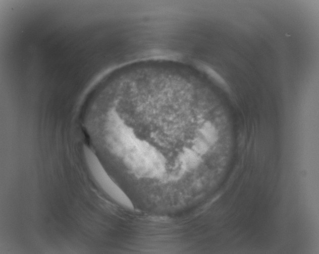 X0000081311310200702082100