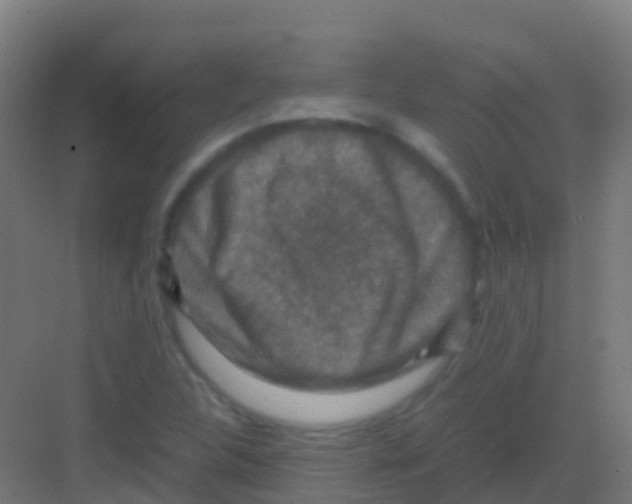 X0000081311312200702082100