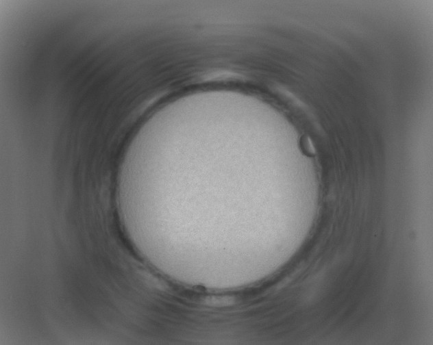 X0000081311313200702082100