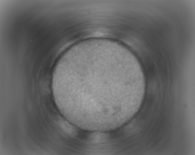 X0000081311314200702082100