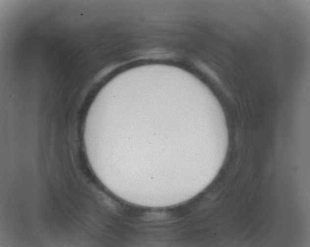 X0000081311315200702082100