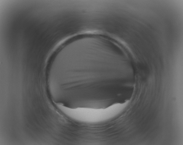 X0000081311319200702082100