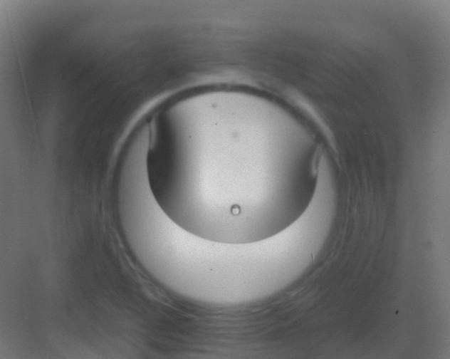 X0000081311320200702082100