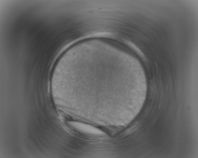 X0000081311324200702082100