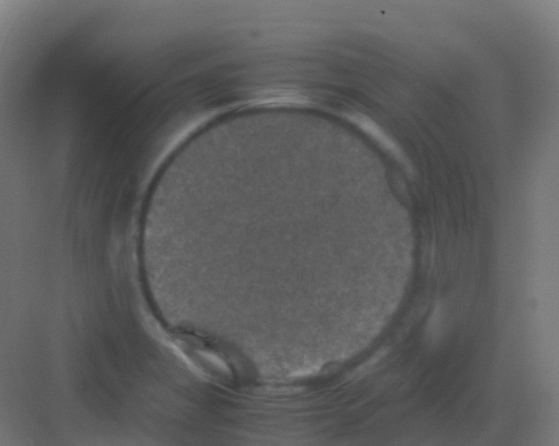 X0000081311325200702082100