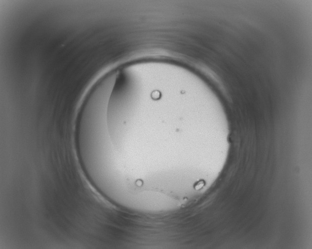 X0000081311326200702082100