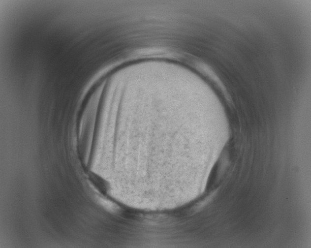 X0000081311328200702082100