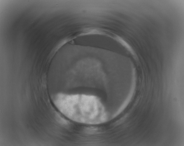 X0000081311329200702082100