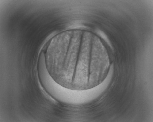 X0000081311330200702082100