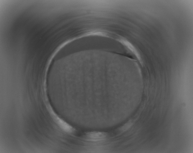 X0000081311331200702082100