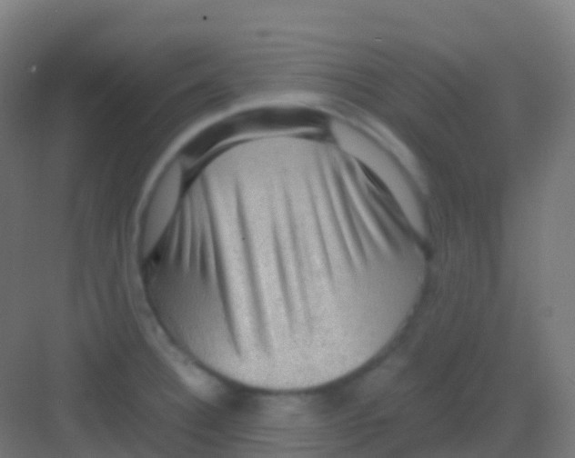 X0000081311332200702082100