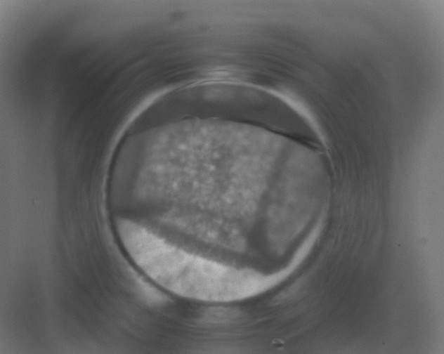 X0000081311333200702082100