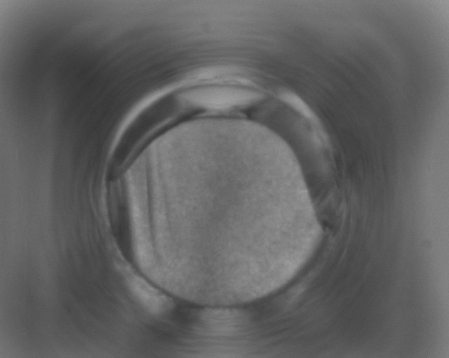 X0000081311336200702082100