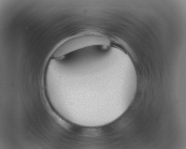 X0000081311339200702082100