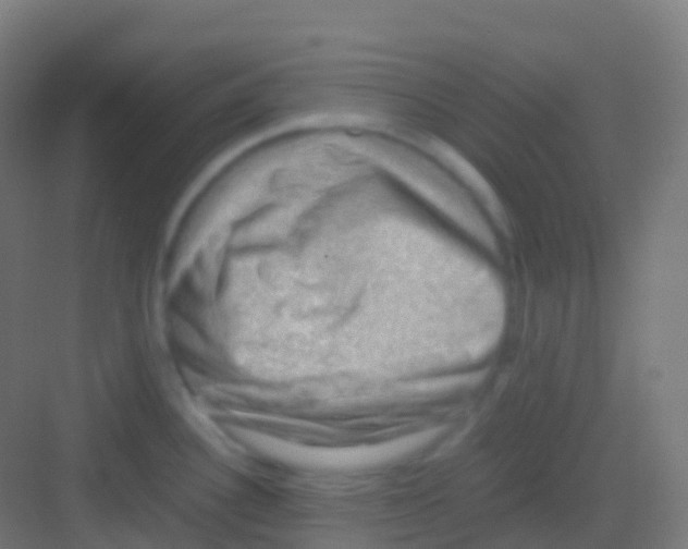 X0000081311340200702082100