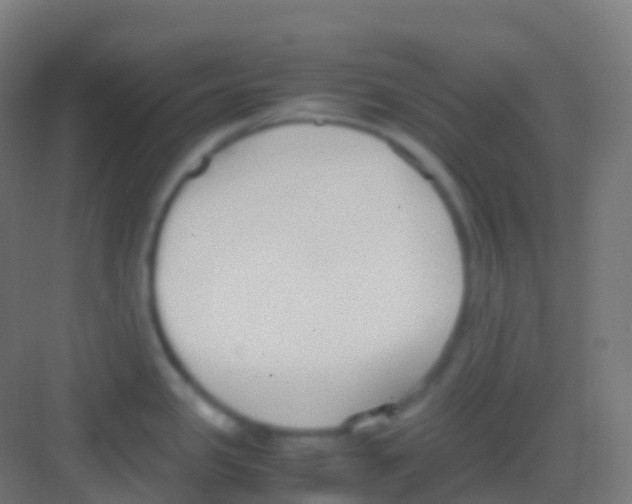 X0000081311341200702082100