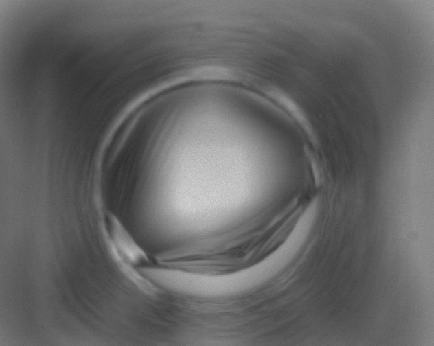 X0000081311342200702082100