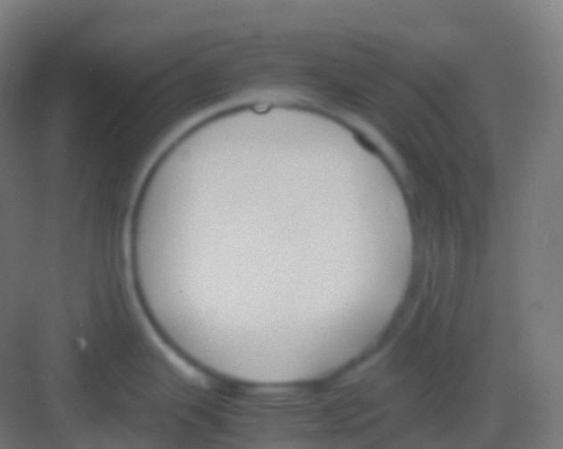 X0000081311343200702082100