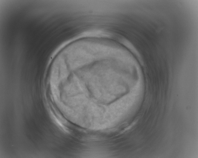 X0000081311344200702082100