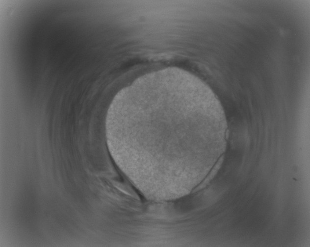 X0000081311345200702082059