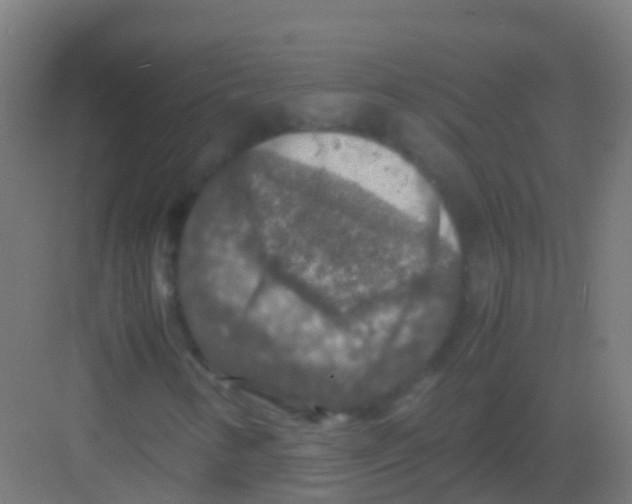 X0000081311346200702082059