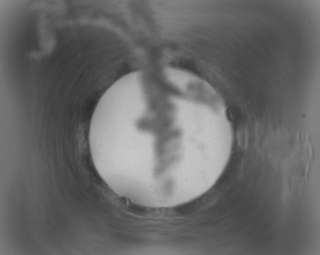 X0000081311347200702082059