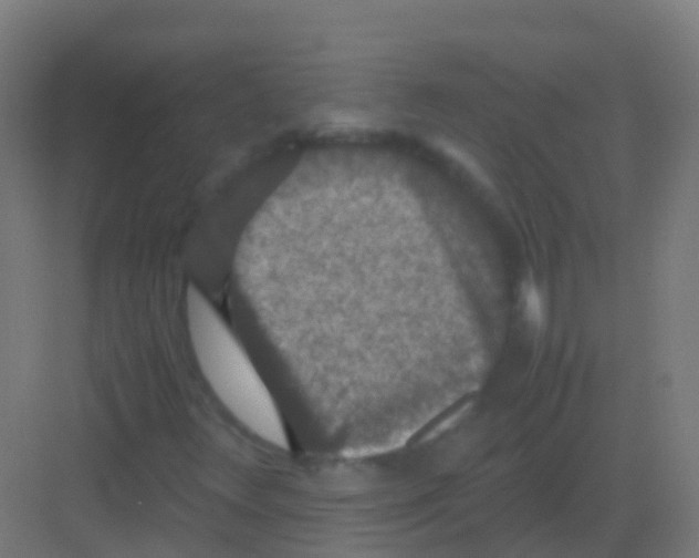 X0000081311348200702082059