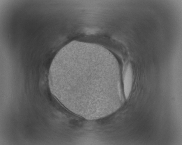 X0000081311349200702082059