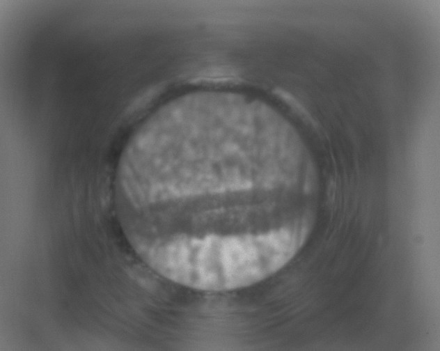 X0000081311350200702082059