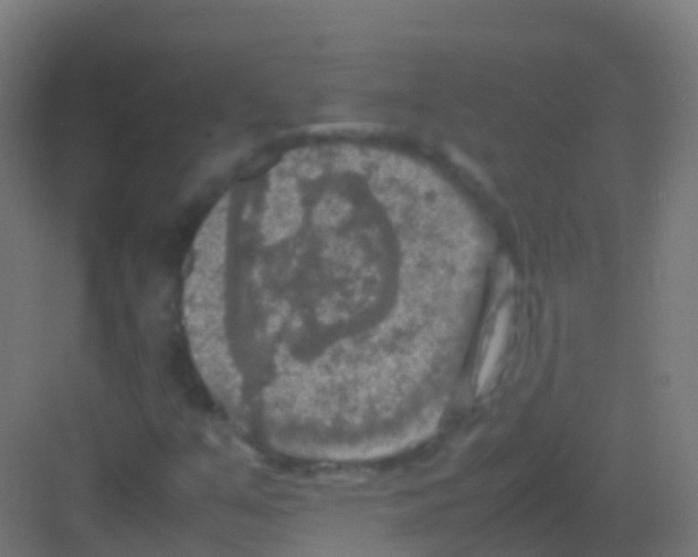 X0000081311351200702082059