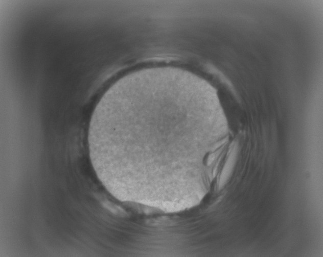 X0000081311352200702082059