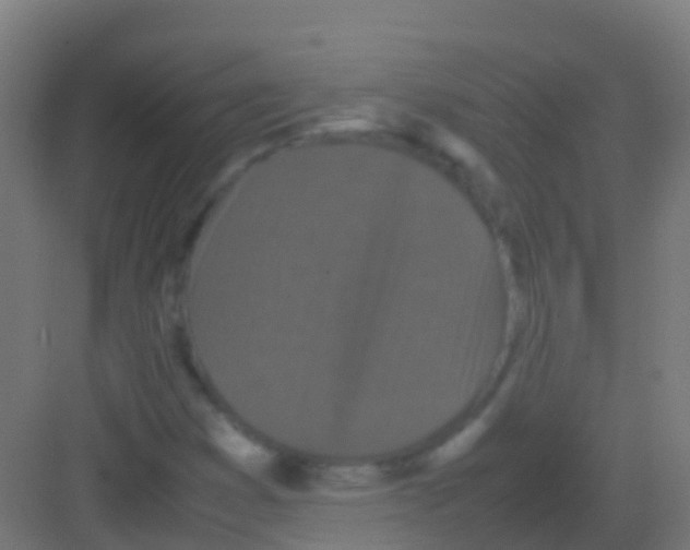 X0000081311353200702082059