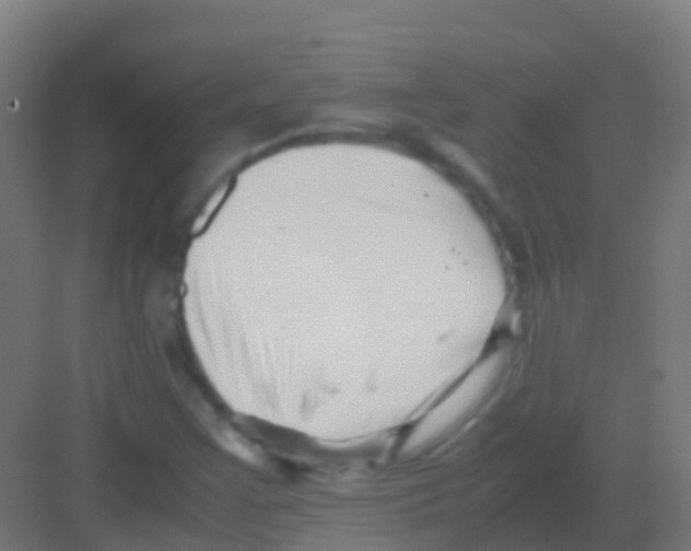 X0000081311355200702082059