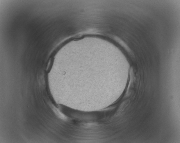 X0000081311356200702082059